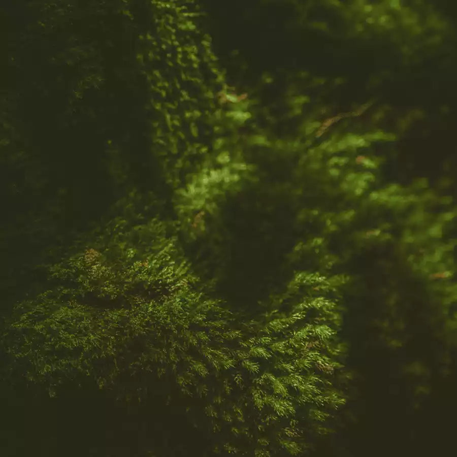 Les crèmes et sérums Juvenys sont certifiés 100% naturel ECOCERT